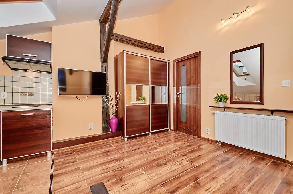 Skyline Apartments Krakow-Oldtown 0*, Krakow Poland